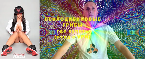 соль курить ск Бородино
