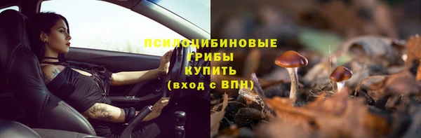 соль курить ск Бородино