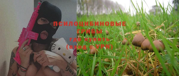 соль курить ск Бородино