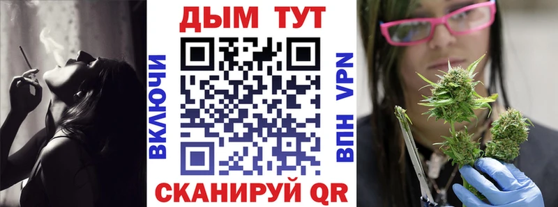 Купить  Змеиногорск  Бошки Шишки VHQ 